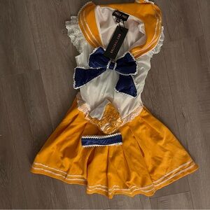 Sailor Venus Costume / Sailor Moon Costume